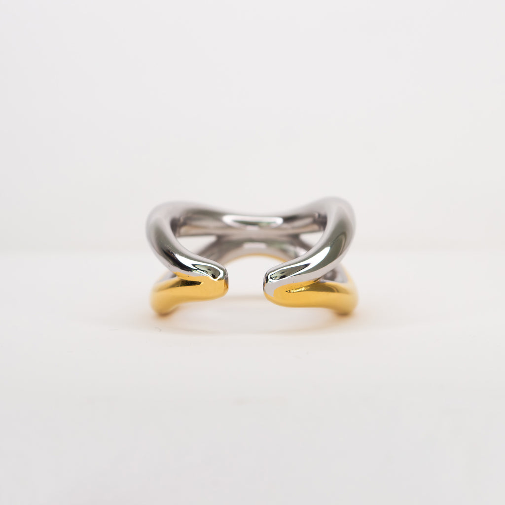 Dena Double Band Open Ring