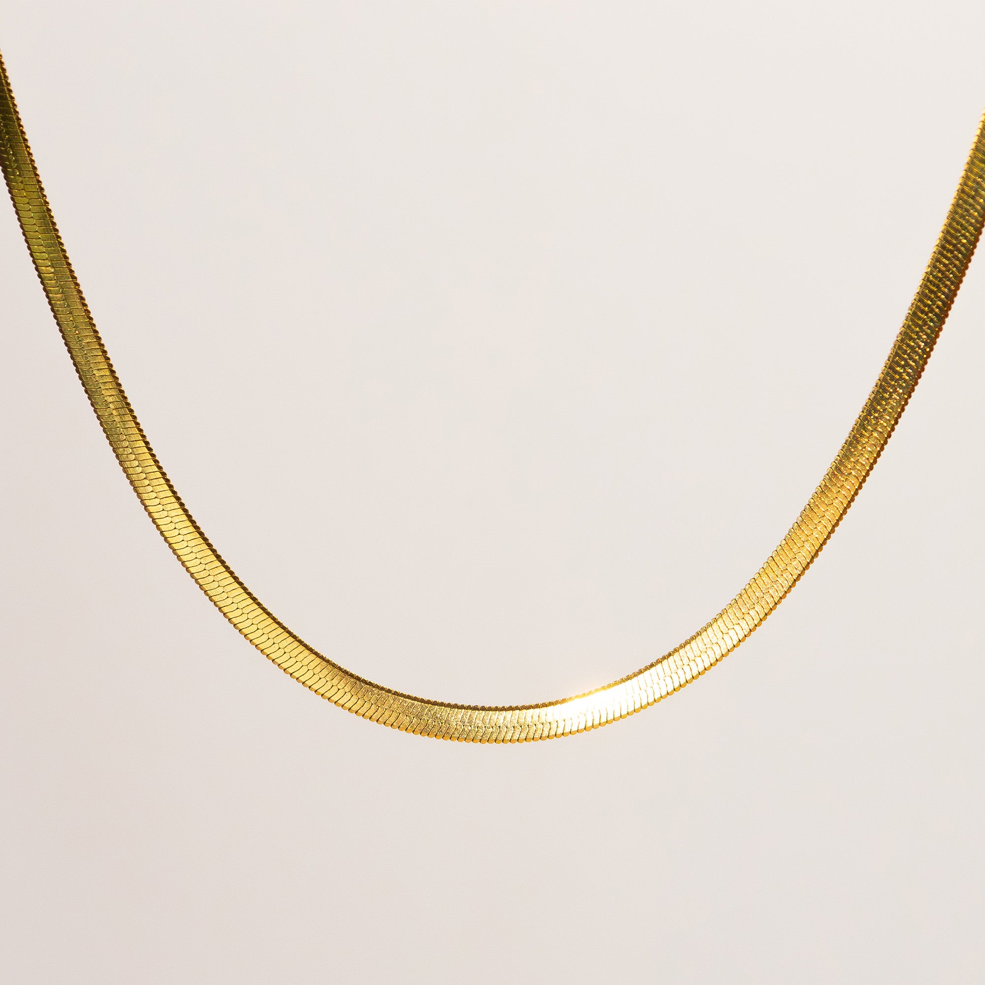 Saga Flat Snake Chain Necklace gold stainless steel flat lay — Tamola Jewellery