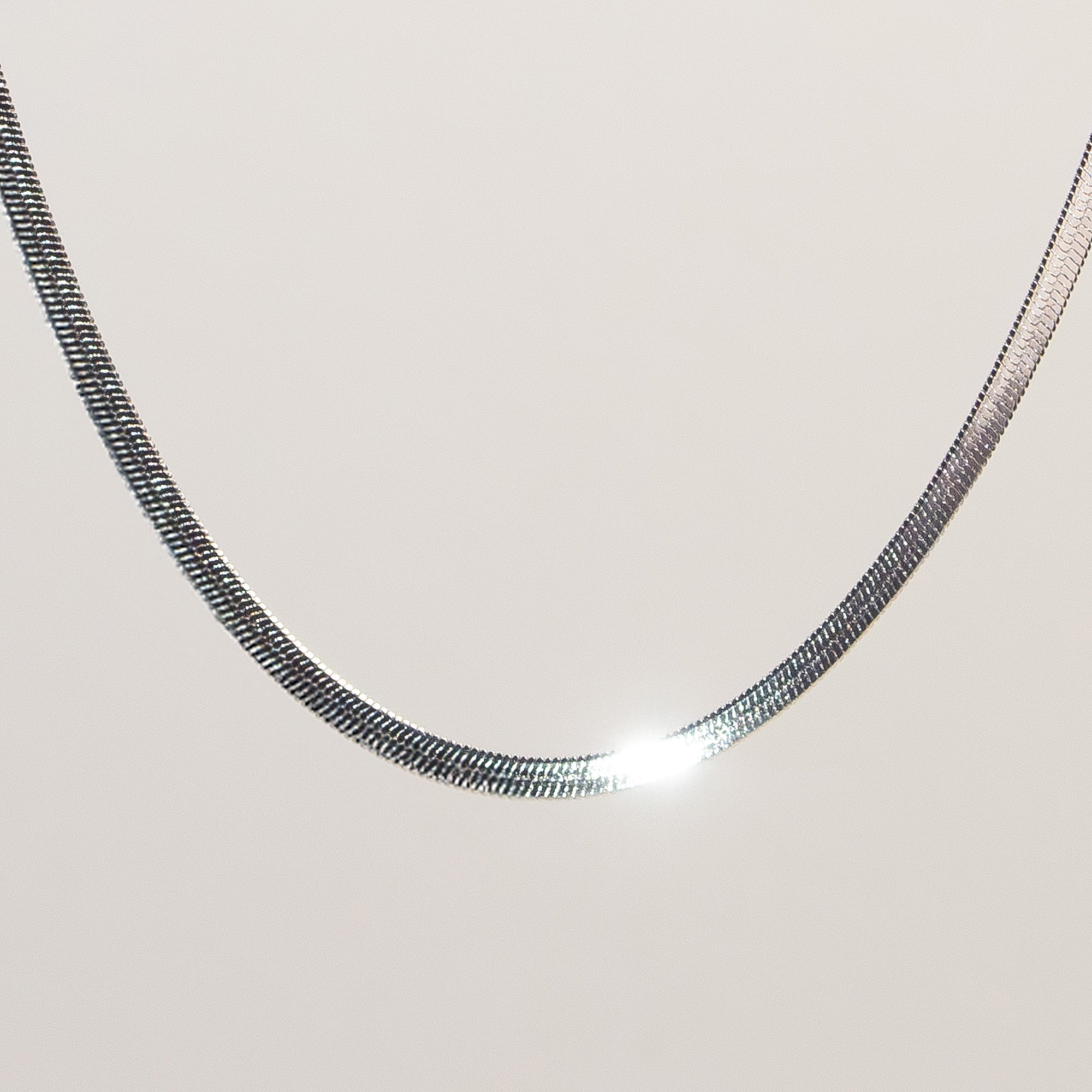 Saga Flat Snake Chain Necklace silver stainless steel on model neck — Tamola Jewellery